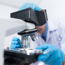 Candida auris: Όσα ξέρουμε για τον μύκητα των νοσοκομείων